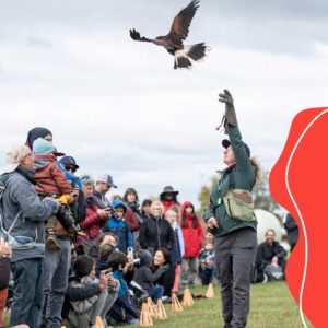 Une 10e Semaine de la biodiversité à Salaberry-de-Valleyfield