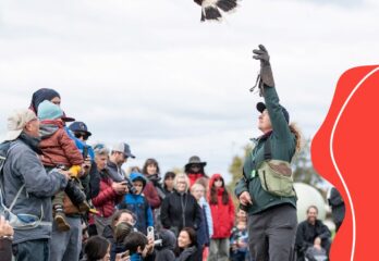Une 10e Semaine de la biodiversité à Salaberry-de-Valleyfield