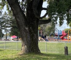 Trois incendies suspects à Salaberry-de-Valleyfield