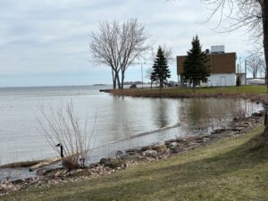 Rejets sanitaires dans le lac Saint-Louis : infrastructures et intempéries en cause, selon Beauharnois