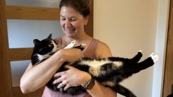 Morsure de raton laveur : une chatte vaccinée évite le pire