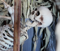 Halloween 2026 : le guide des sorties frissonnantes