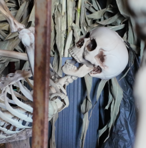 Halloween 2026 : le guide des sorties frissonnantes