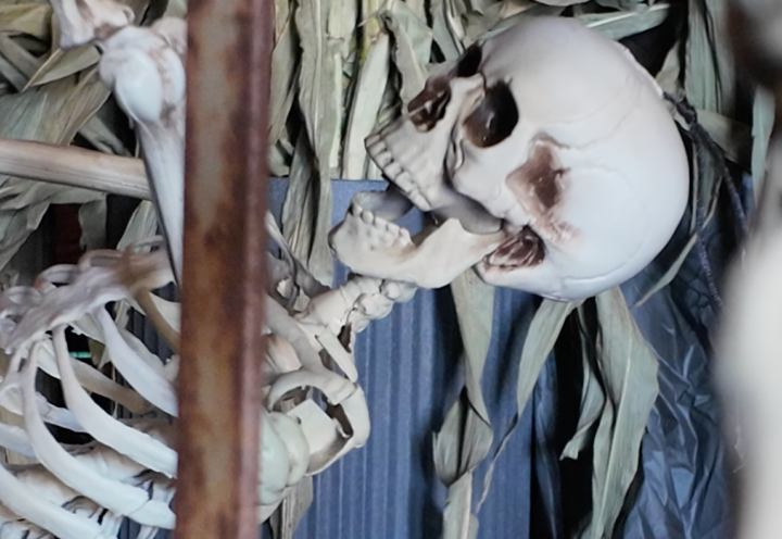 Halloween 2026 : le guide des sorties frissonnantes