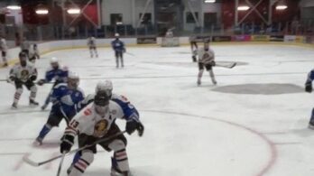 Les Braves résistent aux Panthères