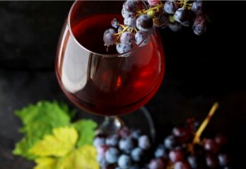 Fondation du Cégep de Valleyfield – 17e édition du Rendez-vous Vins & causerie